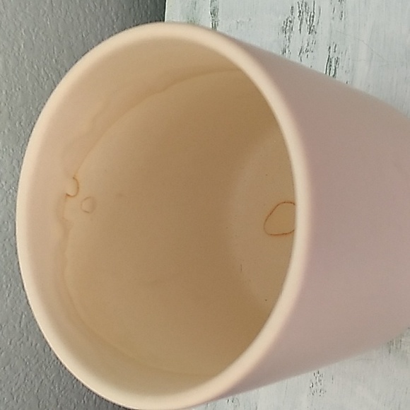 Succulent in a ceramic pot - Picture 4 of 9